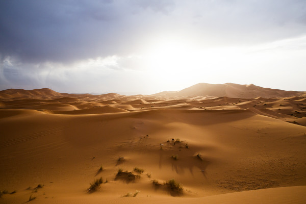 We were happy to stop and dismount for an incredible view across the Erg Chebbi dunes as sunset approached.